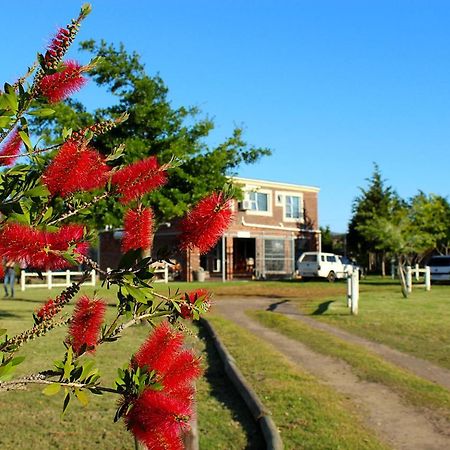 דרבנוויל African Adventures Accommodation מראה חיצוני תמונה