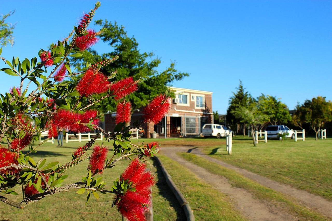 דרבנוויל African Adventures Accommodation מראה חיצוני תמונה