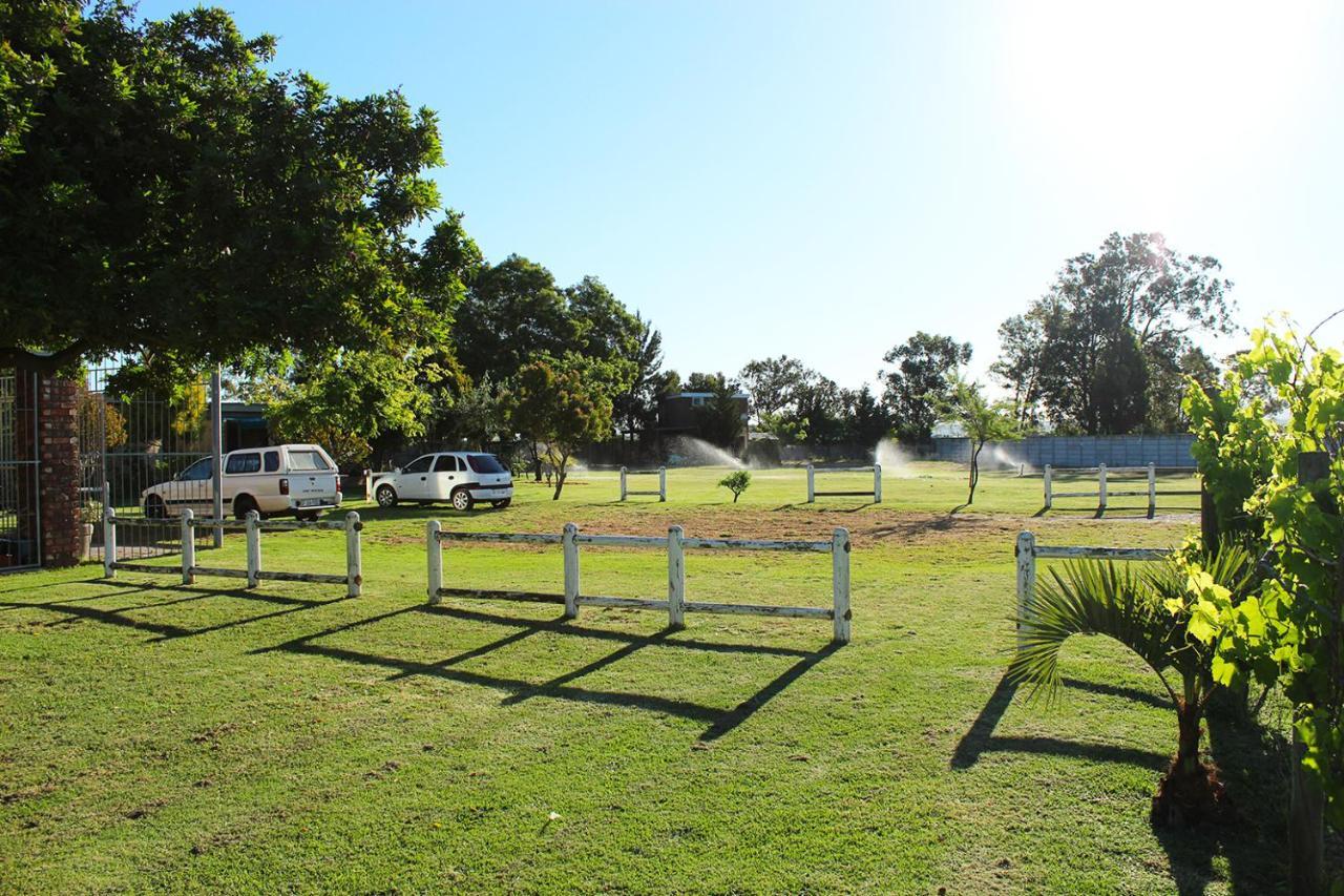 דרבנוויל African Adventures Accommodation מראה חיצוני תמונה